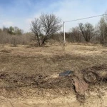 Фото №2 Покос травы