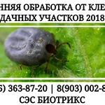 Фото №4 Обработка дачи от клещей Истра.Вызов специалиста