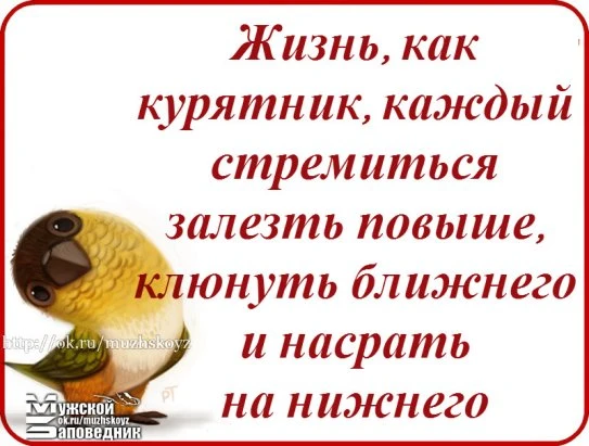 Фото Представительство  в Арбитражном суде Кировской области
