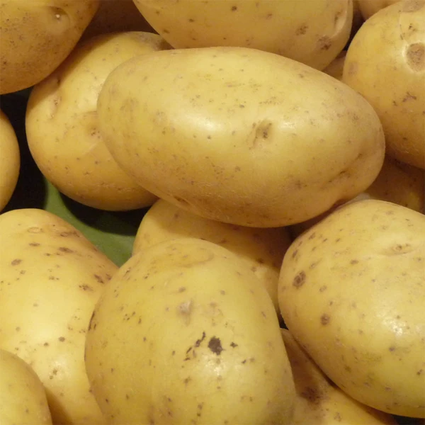 Фото Картофель, капуста, свекла и морковь оптом в мешках и вентилируемой сетке