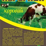 Фото №4 Грунт, земля, перегной, торф