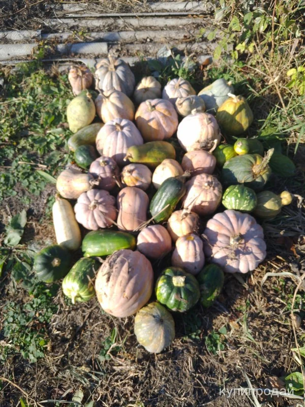 Фото Продам недорого