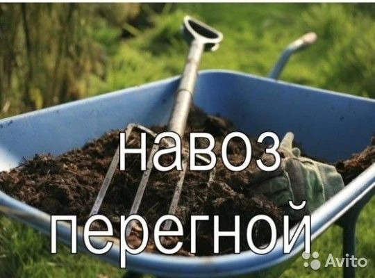 Фото Навоз для огорода