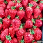 Фото №3 Клубника