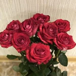 Фото №4 Выписка 