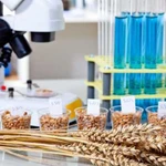 Лабораторное исследование зерна/Декларация тс тр