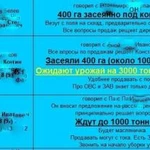 Фото №2 База по кондитерской семечке. Краснодарскому край