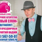 Ведущая на свадьбу в Клину 