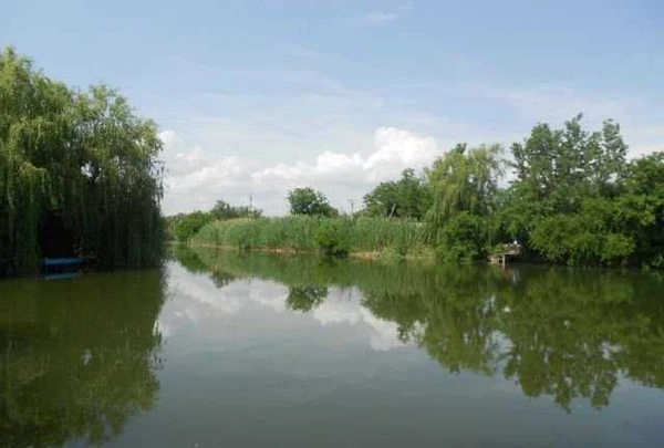 Фото Сдается дача