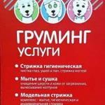 Grooming Груминг стрижка мини пород собак