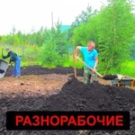 Разнорабочие