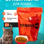 фото Сухой корм для взрослых кошек Besar