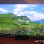 Фото №4 Телевизор Samsung 8k qe65q800tau uhd