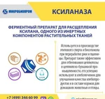 фото Ксиланаза - Фермент для пищевой и лёгкой промышленност