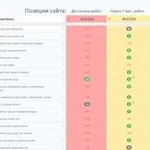 SEO продвижение сайтов в топ 5 в Москве