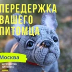 Передержка