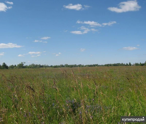 Земельный участок сельхозназначения 550 Га