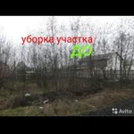 Фото №8 Спил дерева обрезка валка корчевание