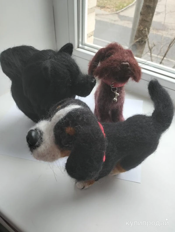 Фото Шпиц черный