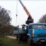 Фото №3 Услуги (аренда) манипулятора в Выборге