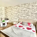 Фото №2 1-комнатные апартаменты в центре города