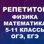 Репетитор по физике и математике, Подготовка к ОГЭ, ЕГЭ