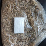 Фото №4 Грибы, мицелий ежовика гребенчатого (гериций, львиная грива, ямабушитаке)