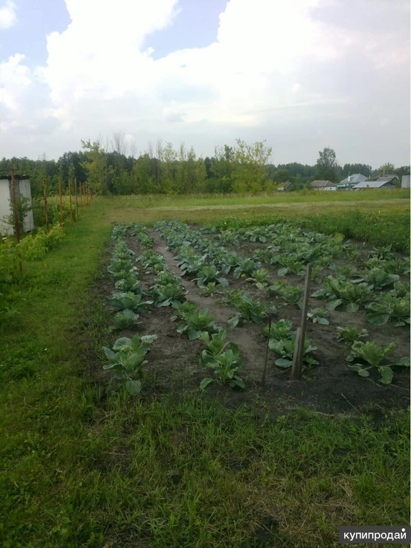 Фото Продаём зем.участок ИЖС 23 сотки + фундамент