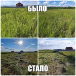 Фото №4 Покос травы и вырубка деревьев. Триммером. Уфа