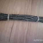 Фото №8 Веточки плодовых деревьев лесных.