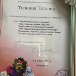 Услуги профессионального грумера. 