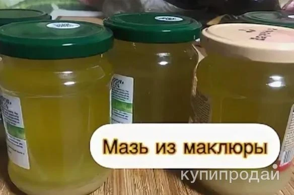 Фото Мазь из Маклюры. Цена за 100 грамм.