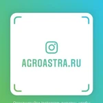 Фото №4 Семена гороха ярового купить Аксайский усатый 7 Усатый кормовой Астронавт Болдор