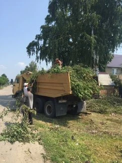 Фото Благоустройство Земельные работы Покос