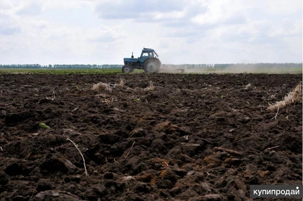 Фото Продам земельный участок 100 Га