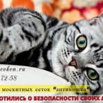 Фото №3 Москитные сетки в Балашихе