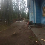 Фото №72 Выполнен объект Валка Расчистка Спил Уборка. 101 фотография.
