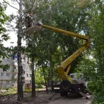 Фото №9 Спилить(спил) удалить дерево в Великом Новгороде