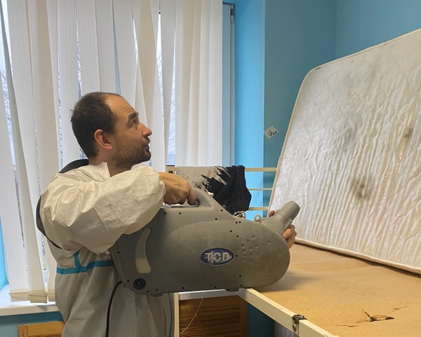 Фото Обработка от насекомых, дезинсекция