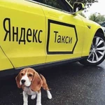 Аренда авто