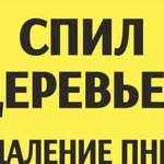 Спил деревьев,расчистка участков,удаление пней