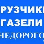 Услуги профессиональных грузчиков в Пушкино.