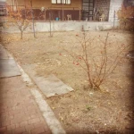 Фото №7 Покос травы триммером