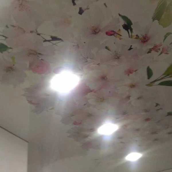 Фото Натяжные потолки