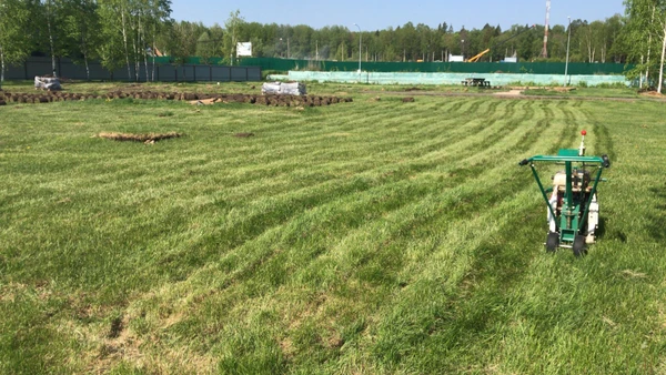 Фото Аренда подрезчика дерна в Нижнем Новгороде и области.