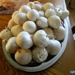 Фото №5 гриб Весёлка