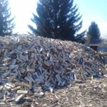 Доставка березовых дров