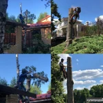 Снос. Чертовицы, Девица, Никольское.