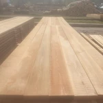 фото Лиственница, хвоя продажа оптом от производителя.