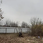 Фото №8 Спил деревьев